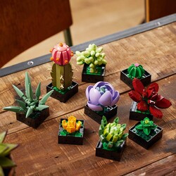 10309 LEGO® Botanicals Sukulentler - 6