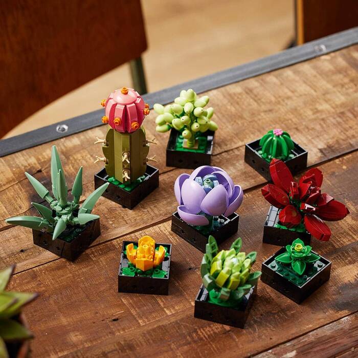 10309 LEGO® Botanicals Sukulentler - 6