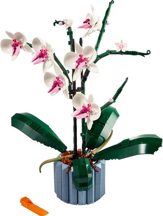 10311 LEGO® Botanicals Orkide - 1