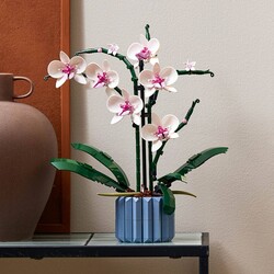 10311 LEGO® Botanicals Orkide - 8