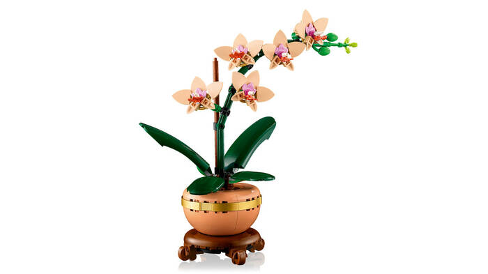 10343 LEGO® Botanicals Mini Orkide - 3
