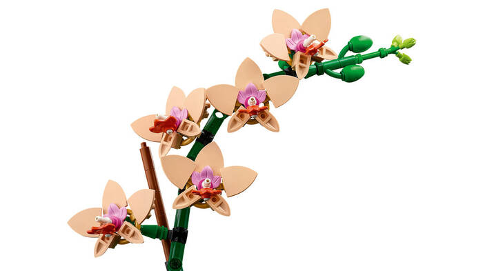 10343 LEGO® Botanicals Mini Orkide - 4