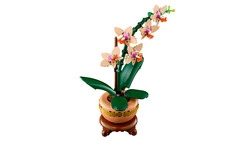 10343 LEGO® Botanicals Mini Orkide - 5