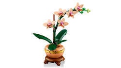10343 LEGO® Botanicals Mini Orkide - 6