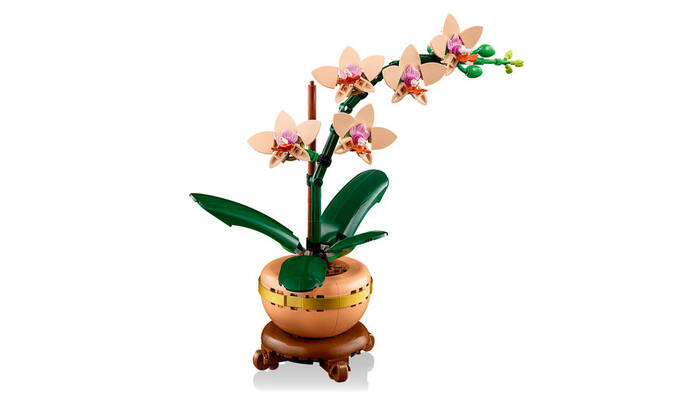 10343 LEGO® Botanicals Mini Orkide - 6