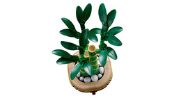 10344 LEGO® Botanicals Şans Bambusu - 4