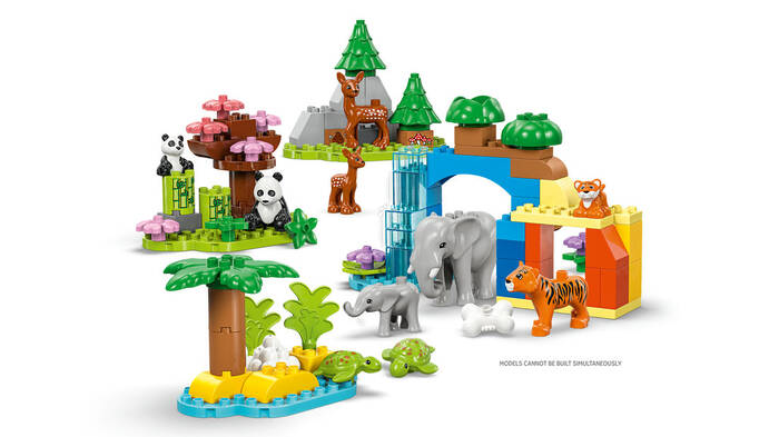 10446 LEGO® DUPLO 3’ü 1 Arada Vahşi Hayvan Aileleri - 3