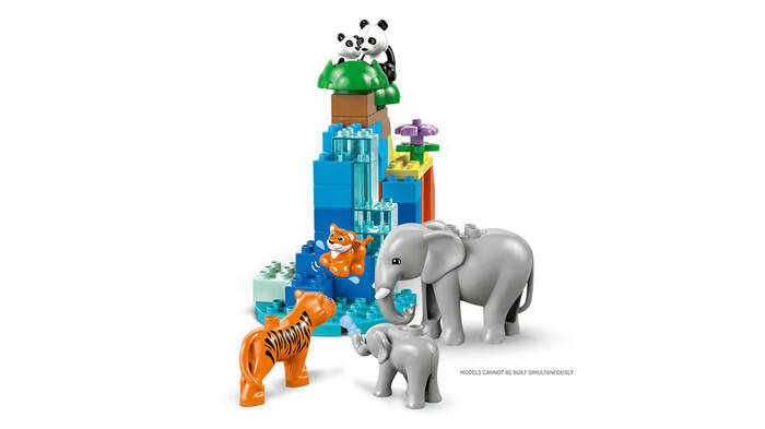 10446 LEGO® DUPLO 3’ü 1 Arada Vahşi Hayvan Aileleri - 4