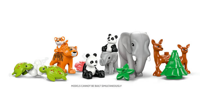 10446 LEGO® DUPLO 3’ü 1 Arada Vahşi Hayvan Aileleri - 5