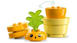 10981 LEGO® DUPLO My First Büyüyen Havucum - 4