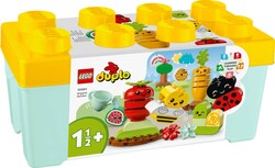 10984 LEGO® DUPLO My First Organik Bahçe - 2