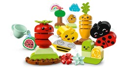 10984 LEGO® DUPLO My First Organik Bahçe - 3