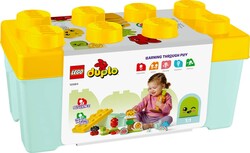 10984 LEGO® DUPLO My First Organik Bahçe - 7