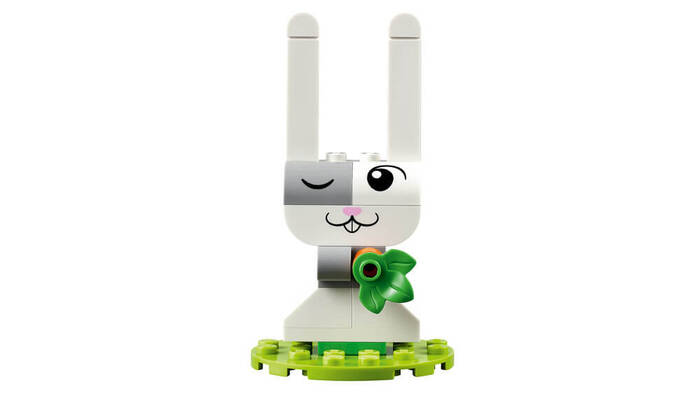 11034 LEGO® Classic Yaratıcı Evcil Hayvanlar - 6