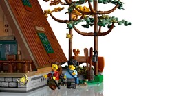 21338 LEGO® Ideas Dik Çatılı Kulübe - 4