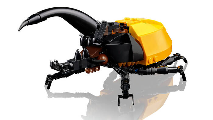 21342 LEGO® Ideas Böcek Koleksiyonu - 5