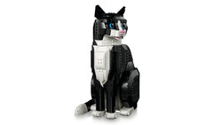 21349 LEGO® Ideas Smokinli Kedi - 6