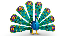 31157 LEGO® Creator Egzotik Tavus Kuşu - 6