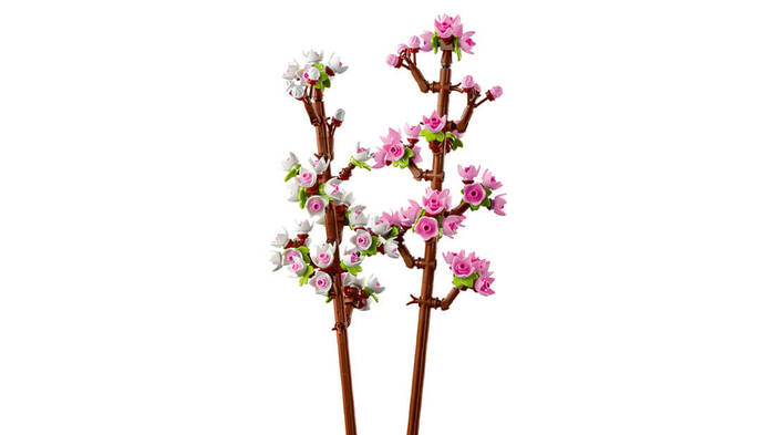 40725 LEGO® Botanicals Kiraz Çiçekleri - 3