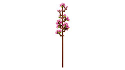 40725 LEGO® Botanicals Kiraz Çiçekleri - 4