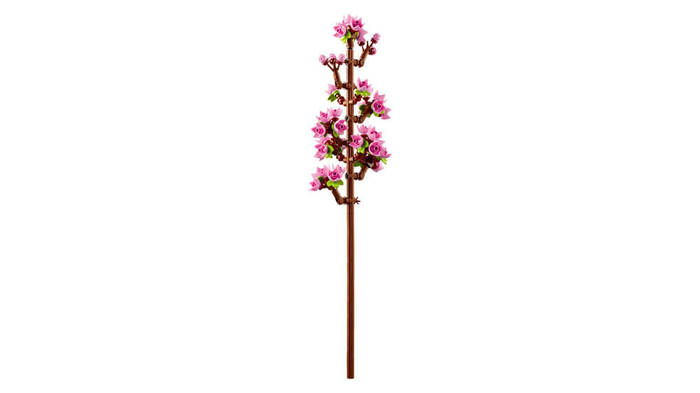 40725 LEGO® Botanicals Kiraz Çiçekleri - 4