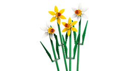 40747 LEGO® Botanicals Nergis - 3