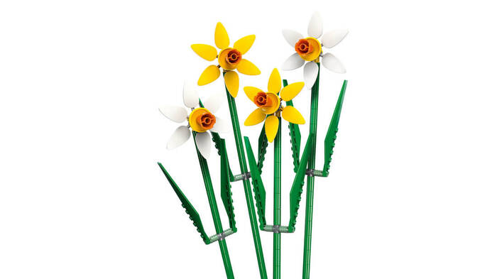 40747 LEGO® Botanicals Nergis - 3