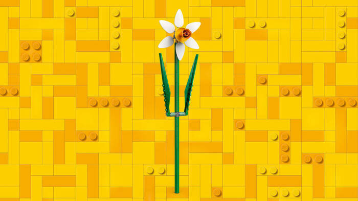 40747 LEGO® Botanicals Nergis - 4