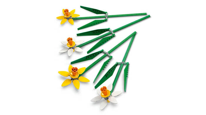 40747 LEGO® Botanicals Nergis - 5