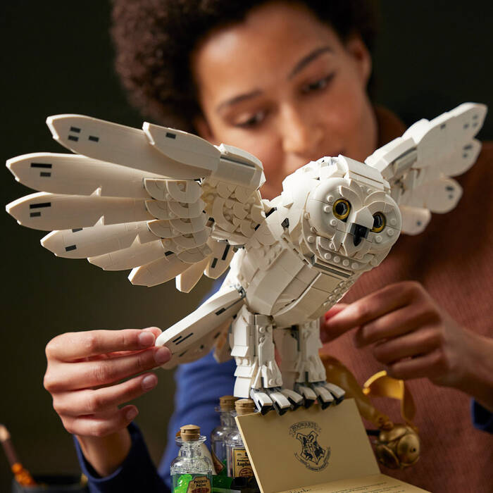 76391 LEGO Harry Potter™ Hogwarts™ Simgeleri - Koleksiyoncu Seti - 4
