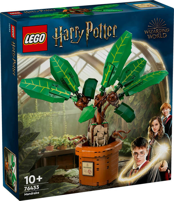 76433 LEGO® Harry Potter™ Adamotu - 2