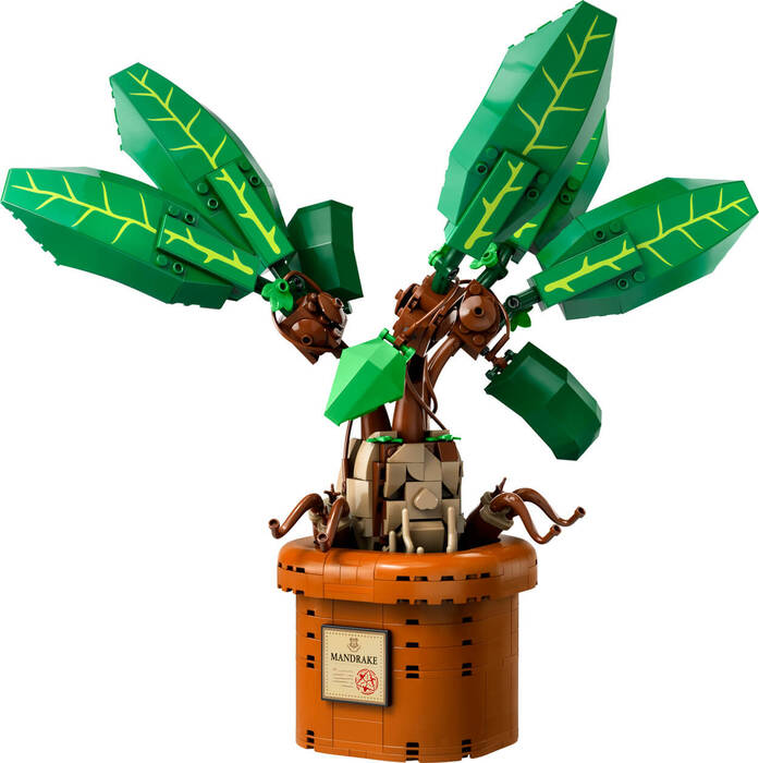76433 LEGO® Harry Potter™ Adamotu - 1