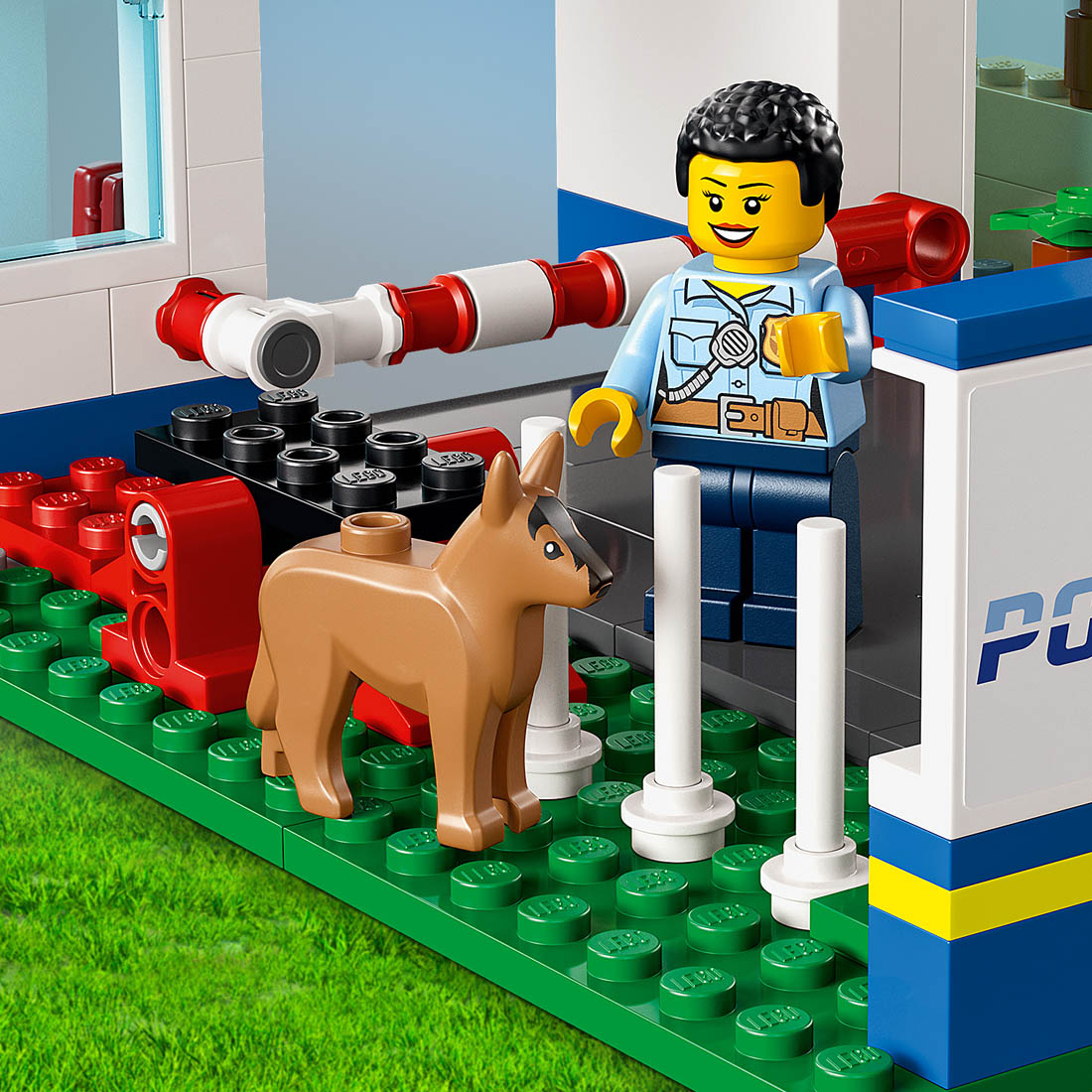 Polis köpeği eğitim alanı